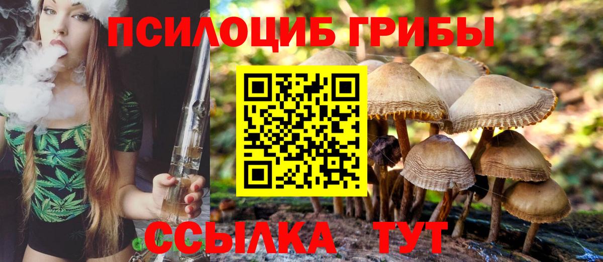 Каменск-Шахтинский  Псилоцибиновые грибы ЛСД  Вход с VPN 