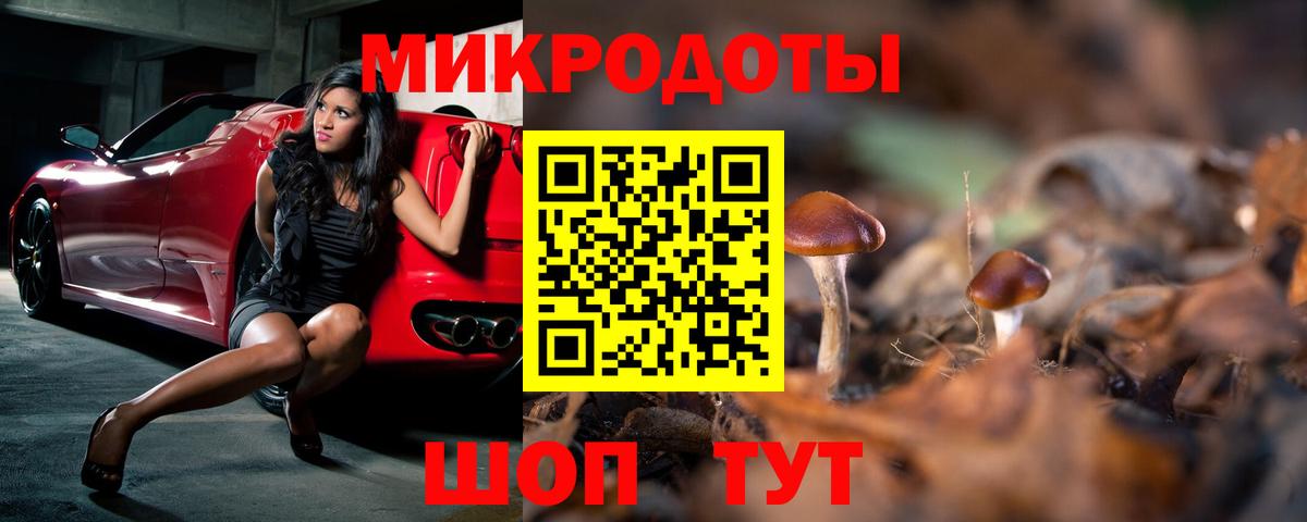 Псилоцибиновые грибы прущие грибы Каменск-Шахтинский