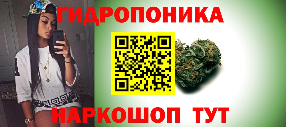 Бошки марихуана планчик Каменск-Шахтинский